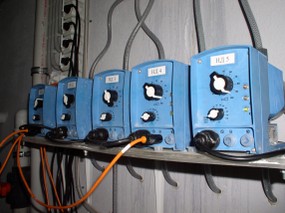 P1010054.JPG